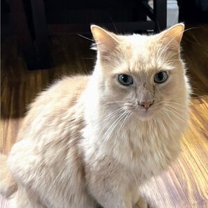 Meet your Posher, Katherine